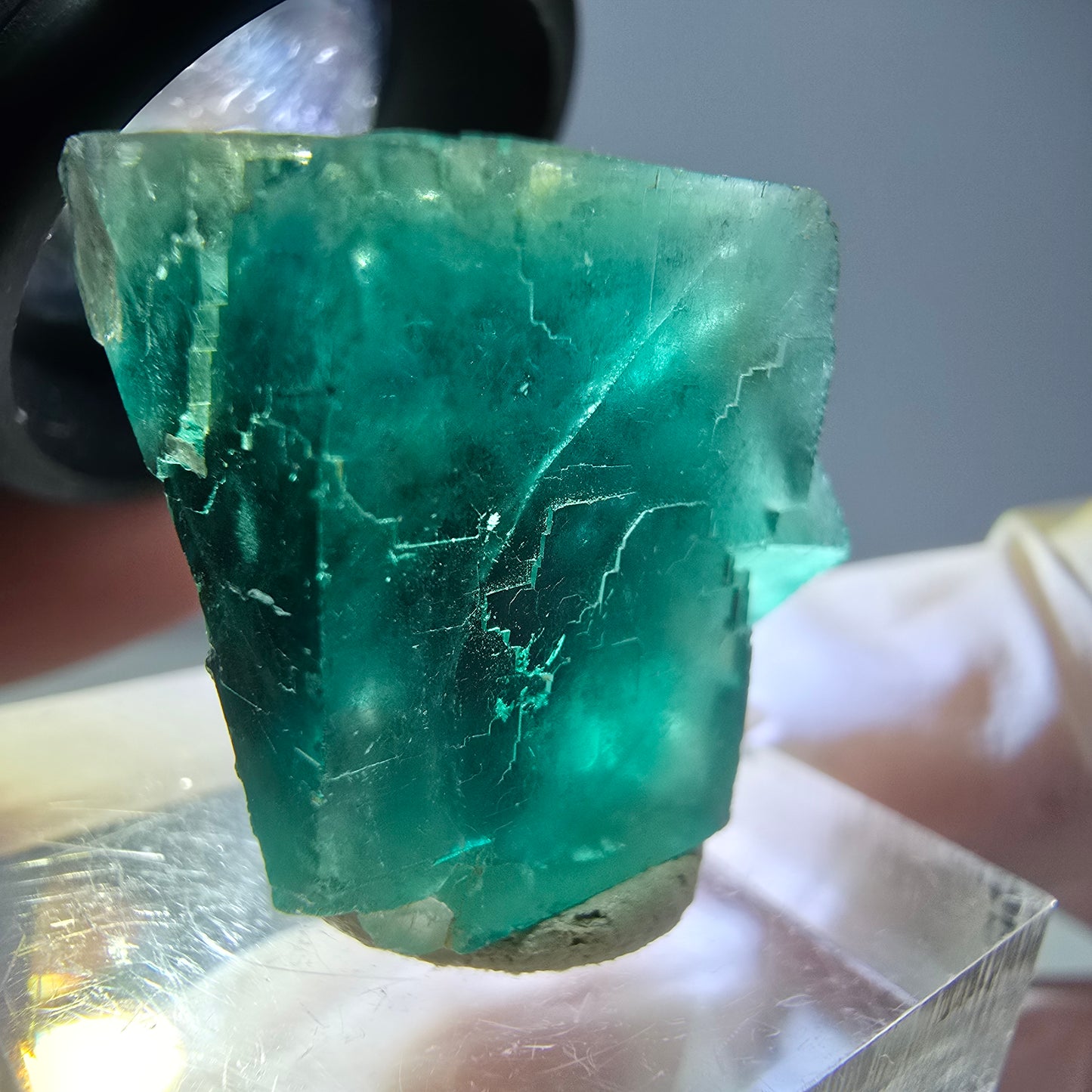 Spécimen de cube de fluorite fantôme, vert parqueté Okorusu, Namibie 23*20*16 mm