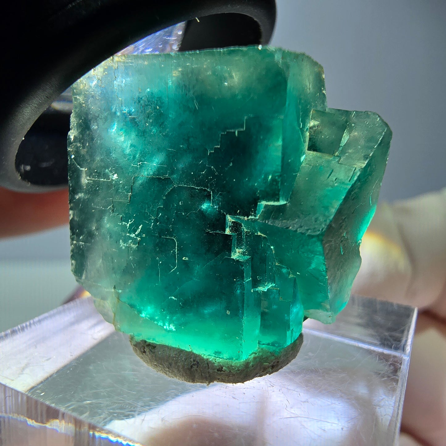 Spécimen de cube de fluorite fantôme, vert parqueté Okorusu, Namibie 23*20*16 mm