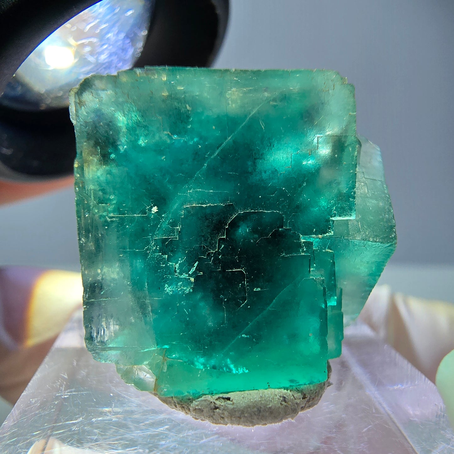 Spécimen de cube de fluorite fantôme, vert parqueté Okorusu, Namibie 23*20*16 mm