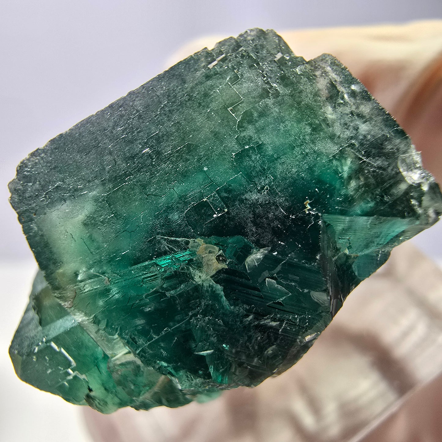 Spécimen de cube de fluorite fantôme, vert parqueté Okorusu, Namibie 23*20*16 mm