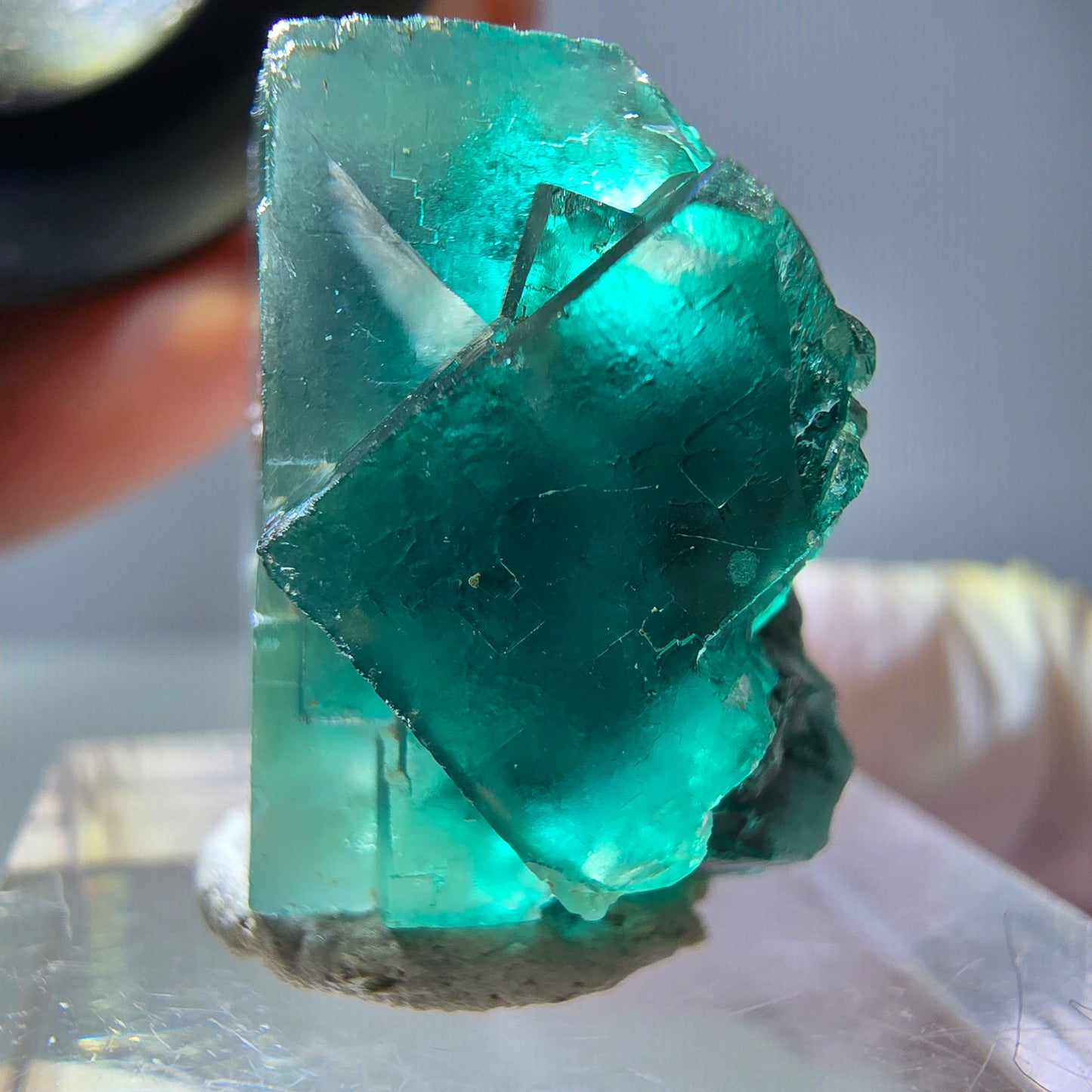 Spécimen de cube de fluorite fantôme, vert parqueté Okorusu, Namibie 23*20*16 mm