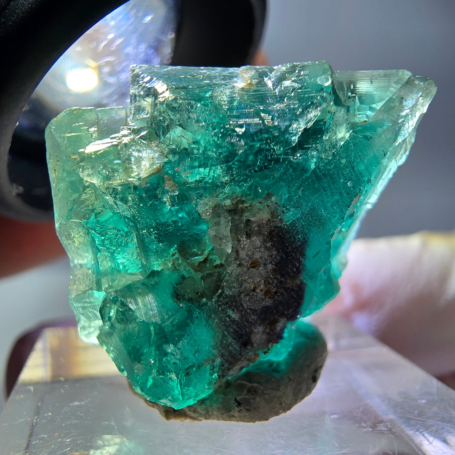 Spécimen de cube de fluorite fantôme, vert parqueté Okorusu, Namibie 23*20*16 mm