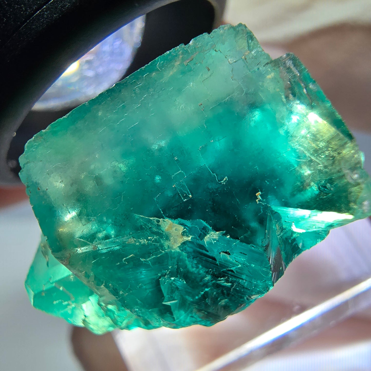 Spécimen de cube de fluorite fantôme, vert parqueté Okorusu, Namibie 23*20*16 mm
