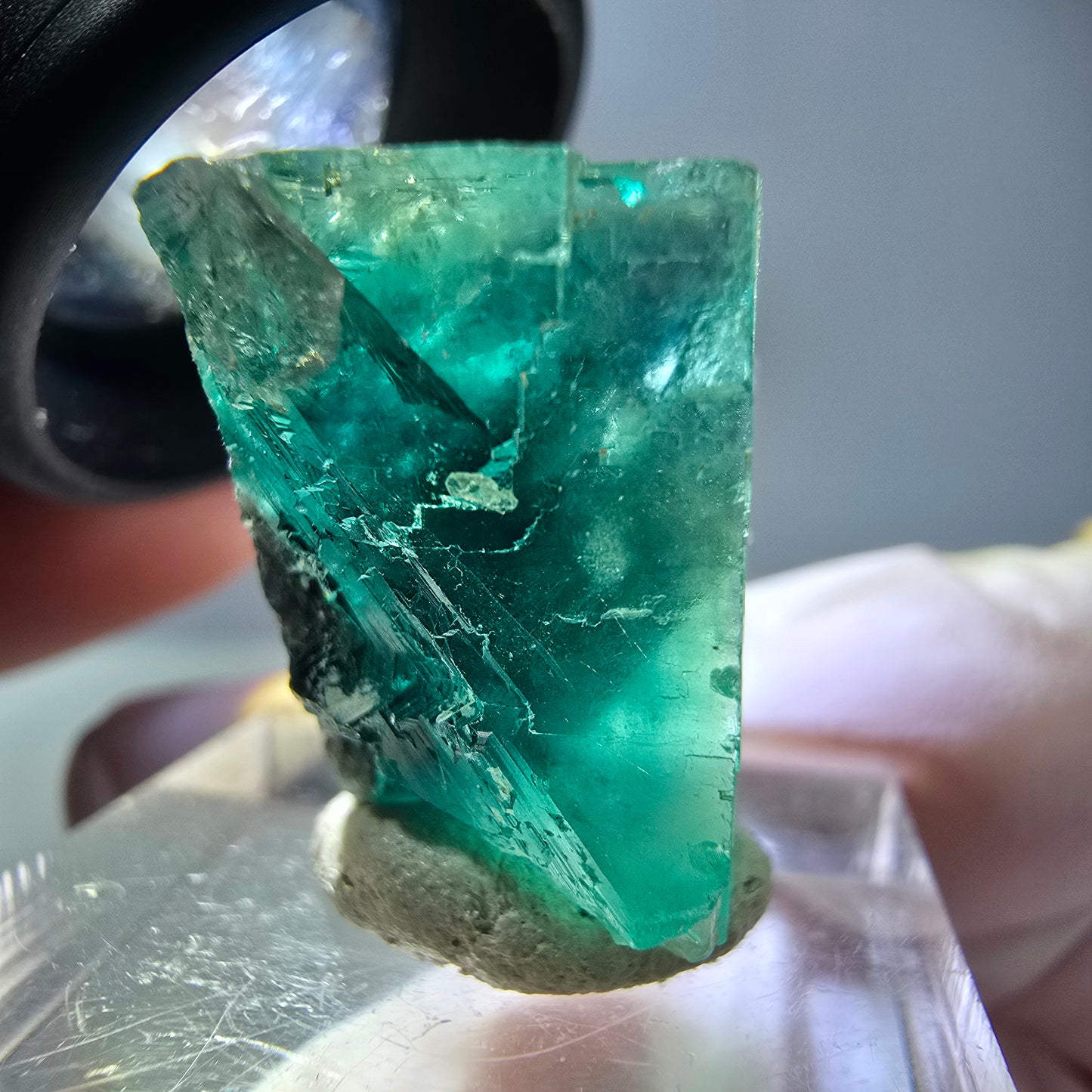 Spécimen de cube de fluorite fantôme, vert parqueté Okorusu, Namibie 23*20*16 mm
