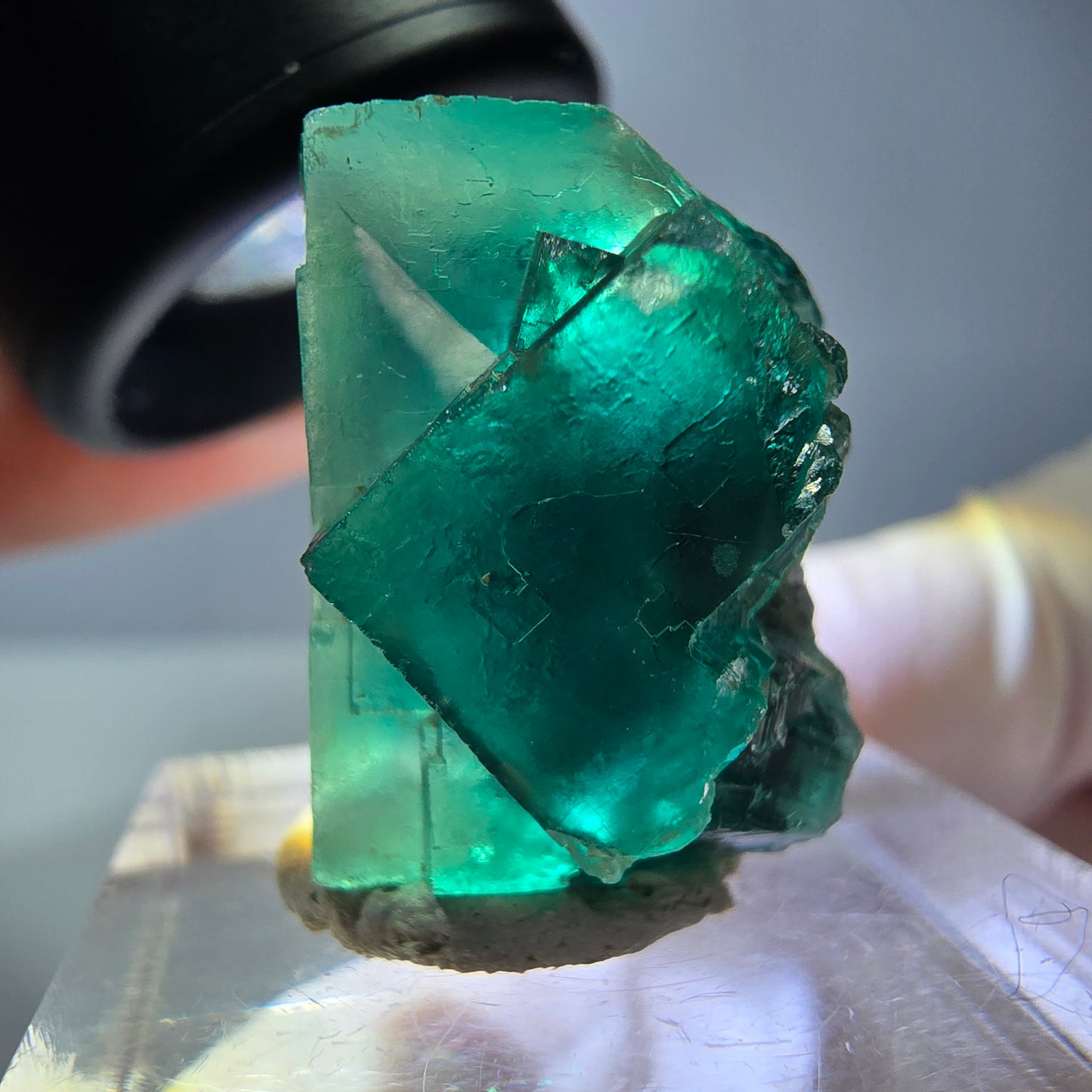 Spécimen de cube de fluorite fantôme, vert parqueté Okorusu, Namibie 23*20*16 mm