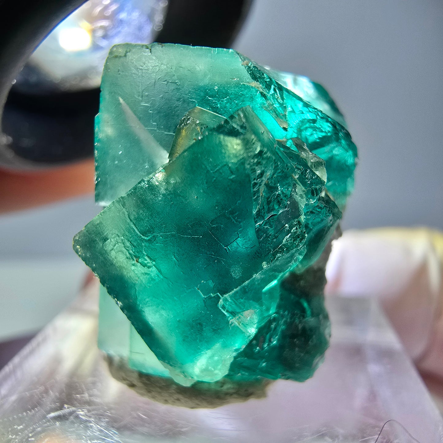 Spécimen de cube de fluorite fantôme, vert parqueté Okorusu, Namibie 23*20*16 mm