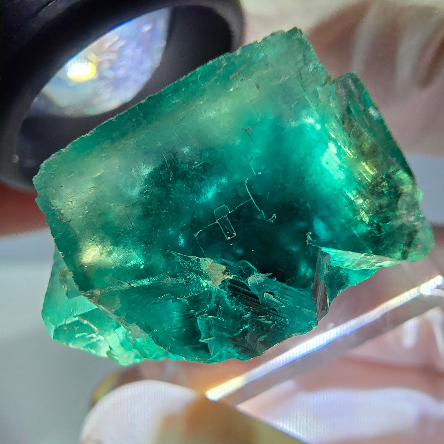 Spécimen de cube de fluorite fantôme, vert parqueté Okorusu, Namibie 23*20*16 mm