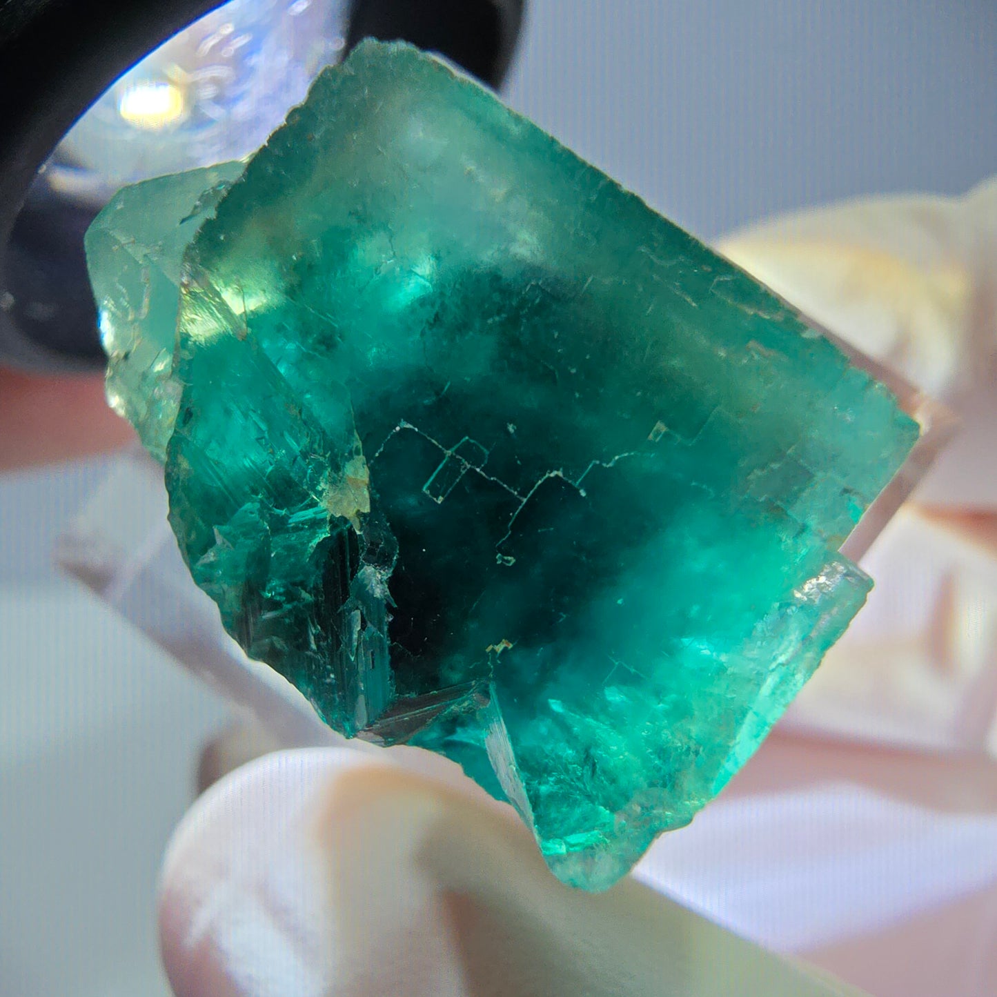 Spécimen de cube de fluorite fantôme, vert parqueté Okorusu, Namibie 23*20*16 mm
