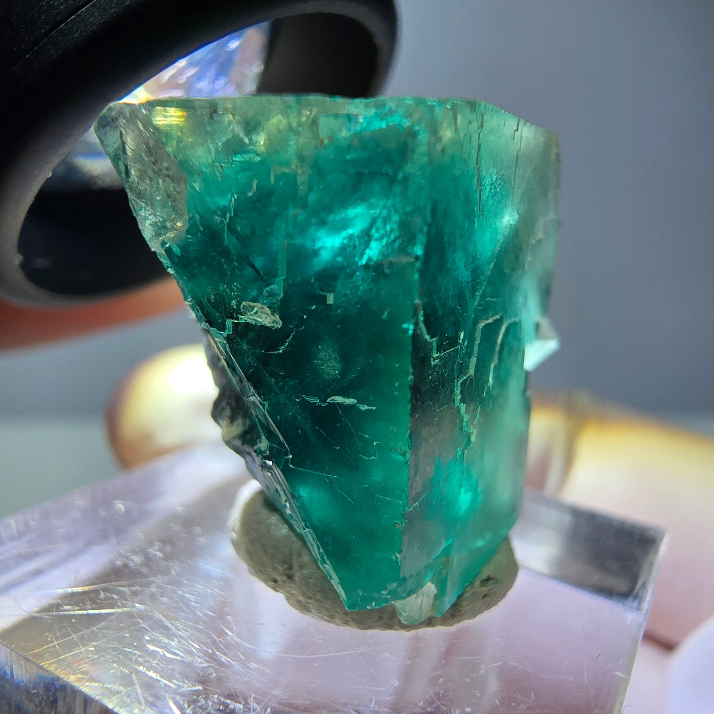 Spécimen de cube de fluorite fantôme, vert parqueté Okorusu, Namibie 23*20*16 mm