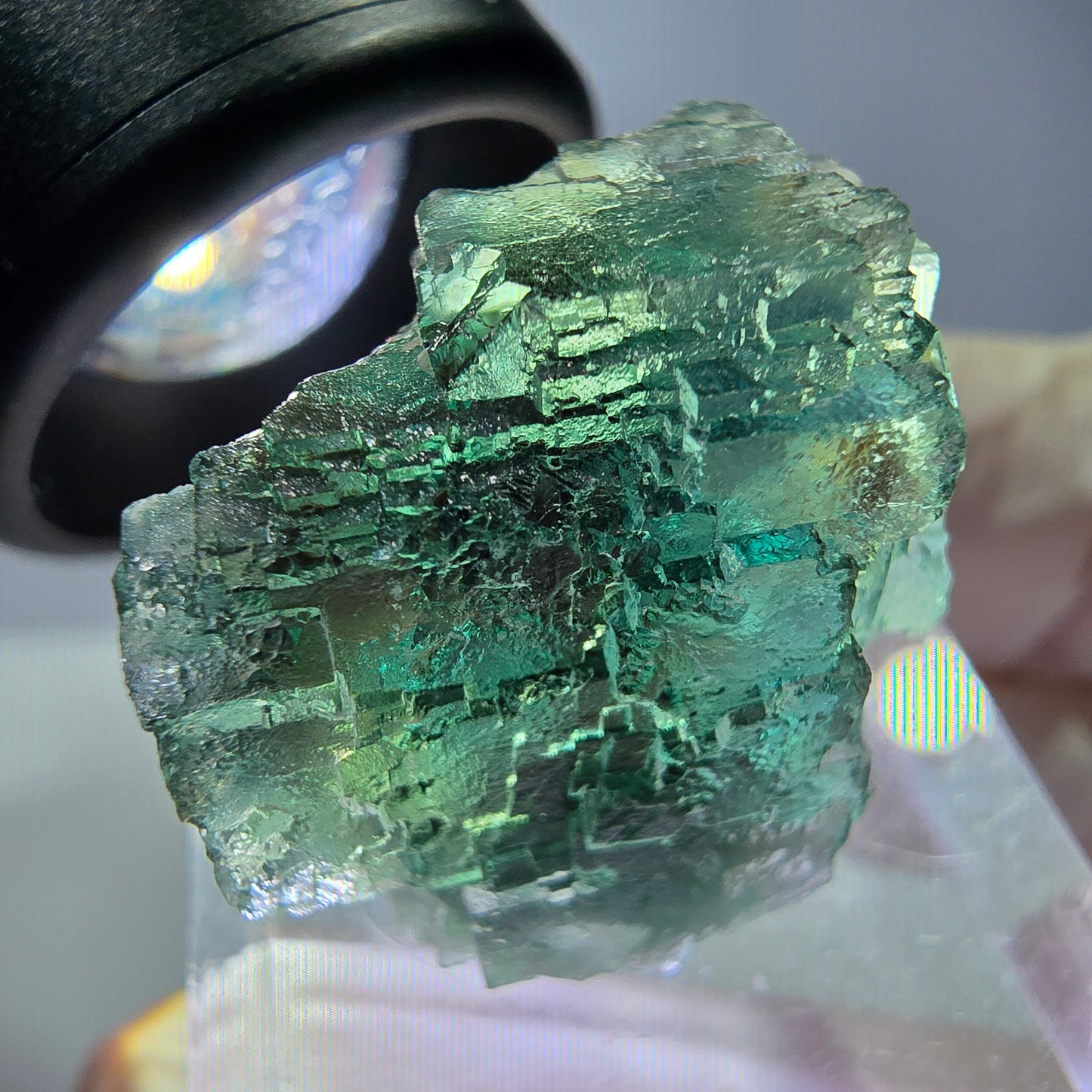 Spécimen de cube de fluorite fantôme, vert parqueté Okorusu, Namibie 21*21*18 mm