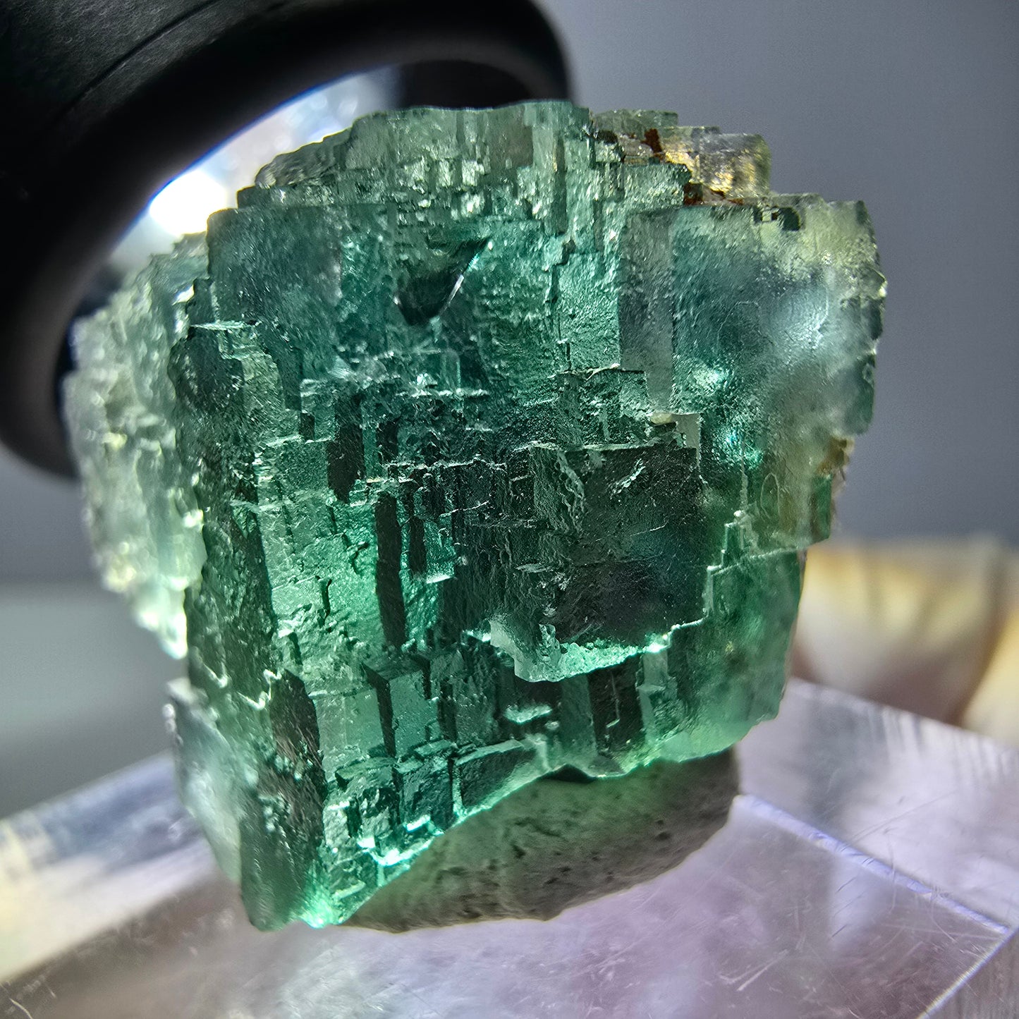 Spécimen de cube de fluorite fantôme, vert parqueté Okorusu, Namibie 21*21*18 mm