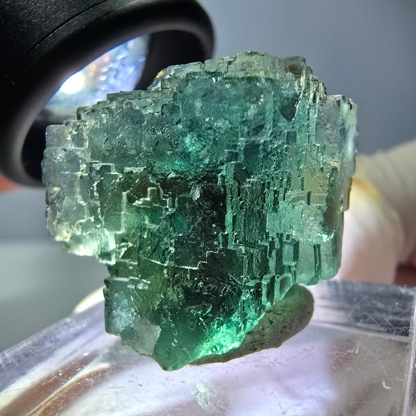 Spécimen de cube de fluorite fantôme, vert parqueté Okorusu, Namibie 21*21*18 mm