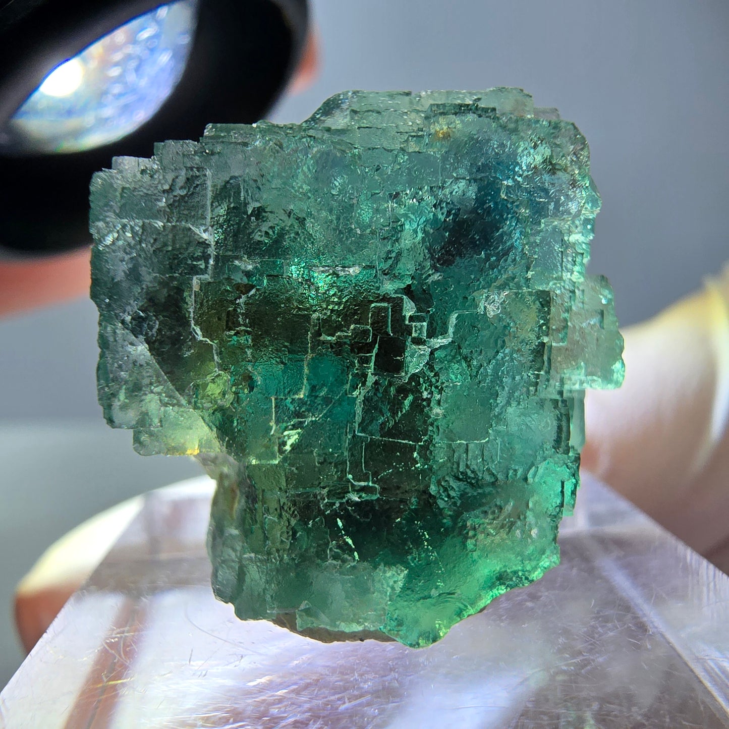 Spécimen de cube de fluorite fantôme, vert parqueté Okorusu, Namibie 21*21*18 mm