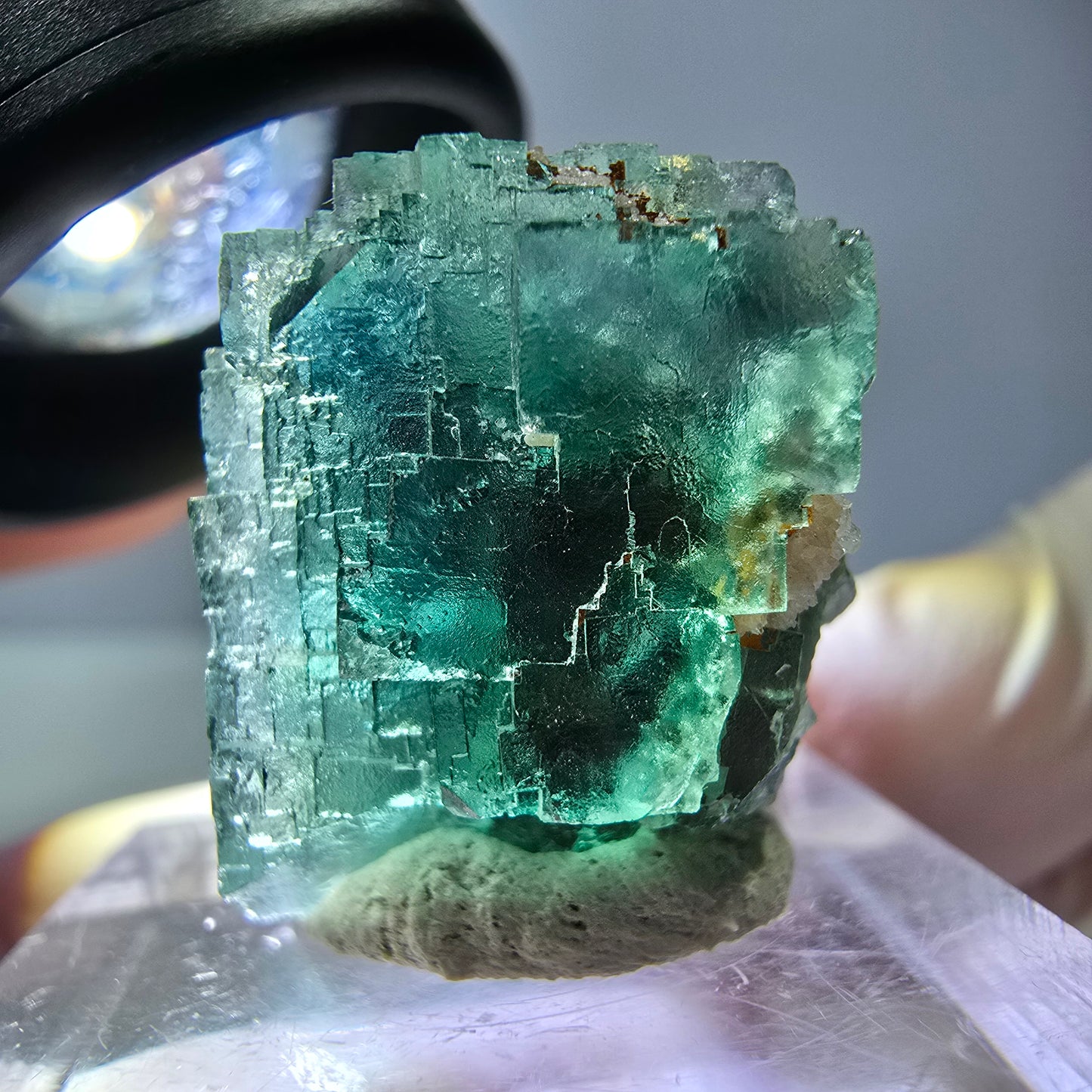 Spécimen de cube de fluorite fantôme, vert parqueté Okorusu, Namibie 21*21*18 mm