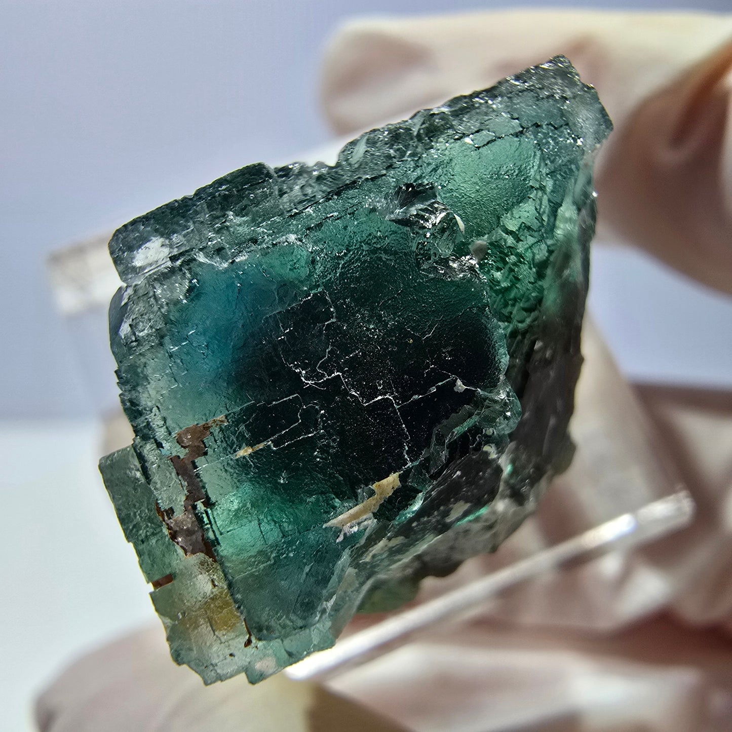 Spécimen de cube de fluorite fantôme, vert parqueté Okorusu, Namibie 21*21*18 mm