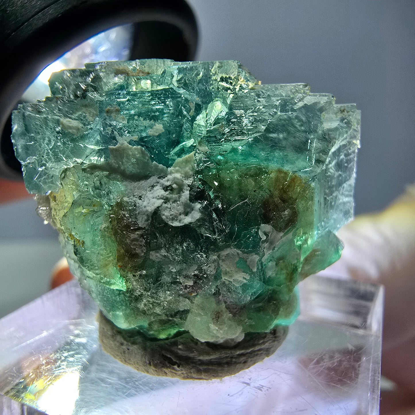 Spécimen de cube de fluorite fantôme, vert parqueté Okorusu, Namibie 21*21*18 mm