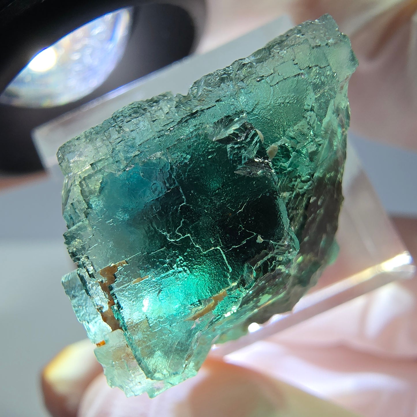 Spécimen de cube de fluorite fantôme, vert parqueté Okorusu, Namibie 21*21*18 mm