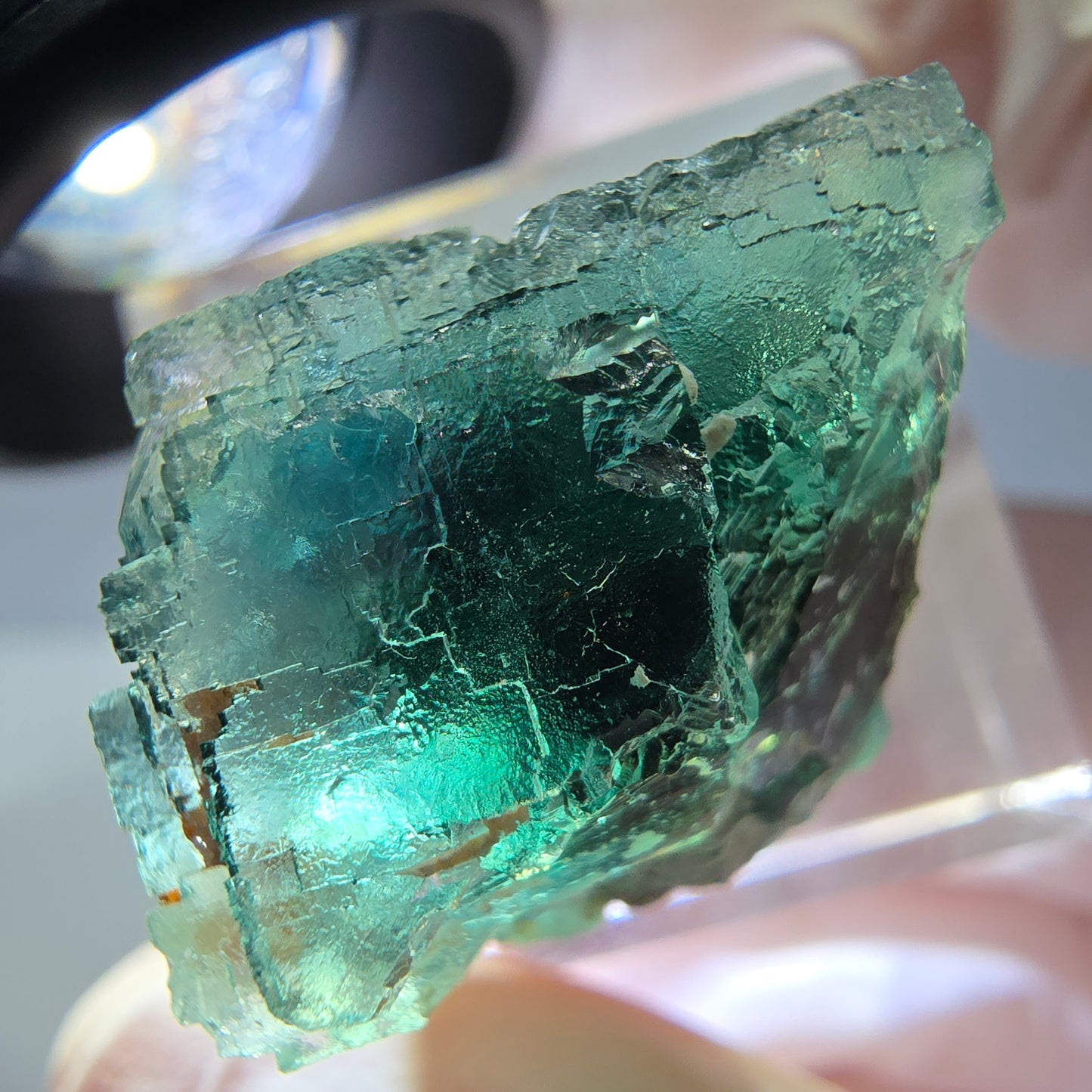 Spécimen de cube de fluorite fantôme, vert parqueté Okorusu, Namibie 21*21*18 mm