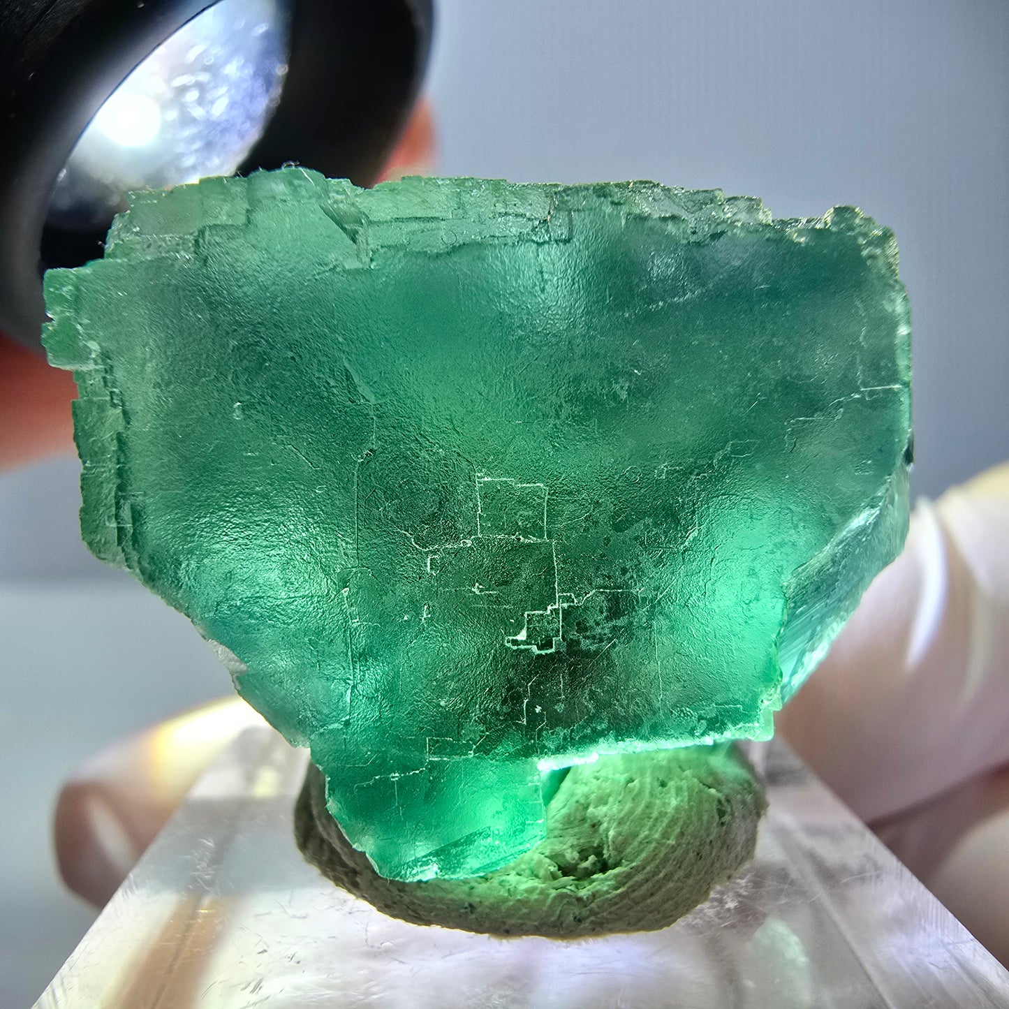 Phantom Fluorit Würfel Stufe, parkettiert grün Okorusu, Namibia 30*28*24mm