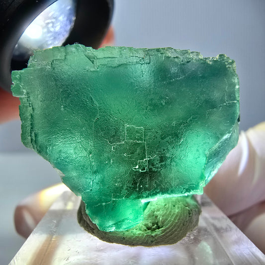 Phantom Fluorit Würfel Stufe, parkettiert grün Okorusu, Namibia 30*28*24mm