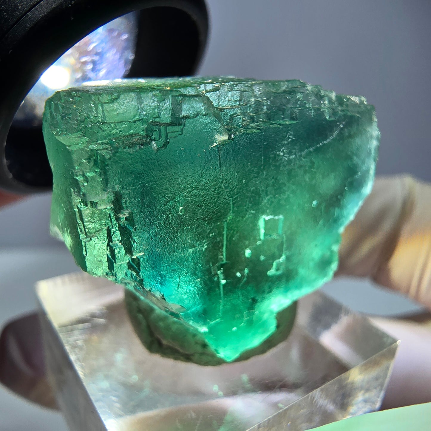 Phantom Fluorit Würfel Stufe, parkettiert grün Okorusu, Namibia 30*28*24mm