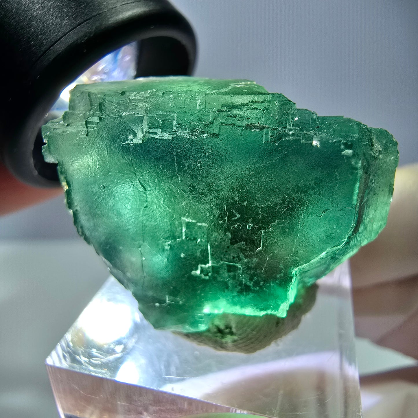 Phantom Fluorit Würfel Stufe, parkettiert grün Okorusu, Namibia 30*28*24mm