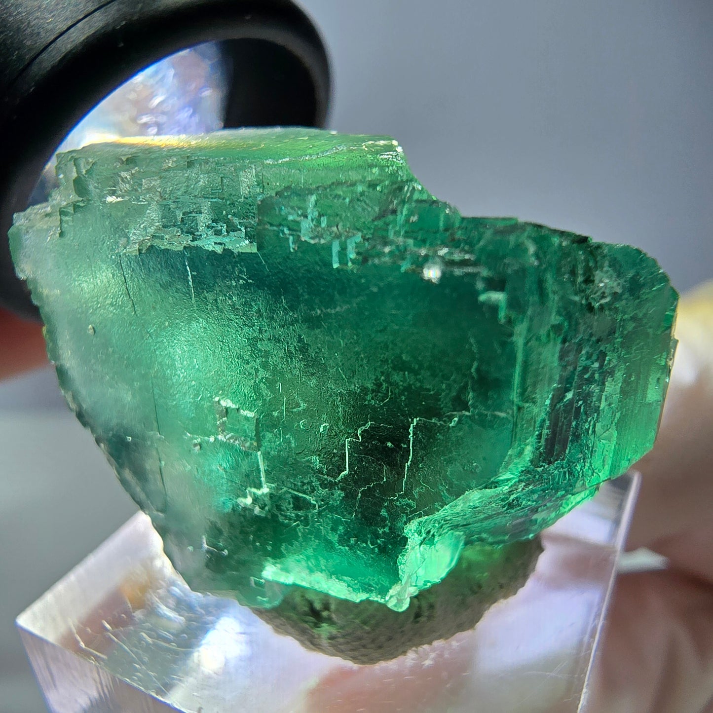 Phantom Fluorit Würfel Stufe, parkettiert grün Okorusu, Namibia 30*28*24mm