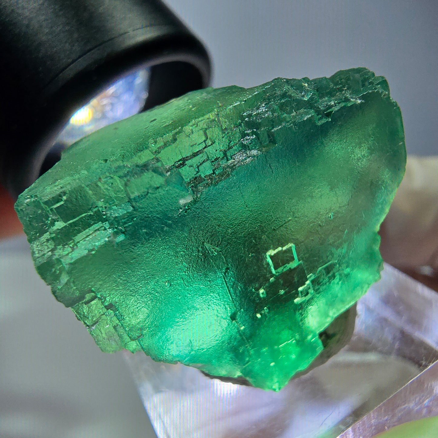 Phantom Fluorit Würfel Stufe, parkettiert grün Okorusu, Namibia 30*28*24mm