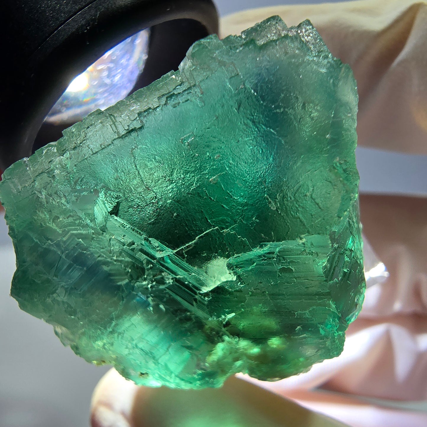 Phantom Fluorit Würfel Stufe, parkettiert grün Okorusu, Namibia 30*28*24mm