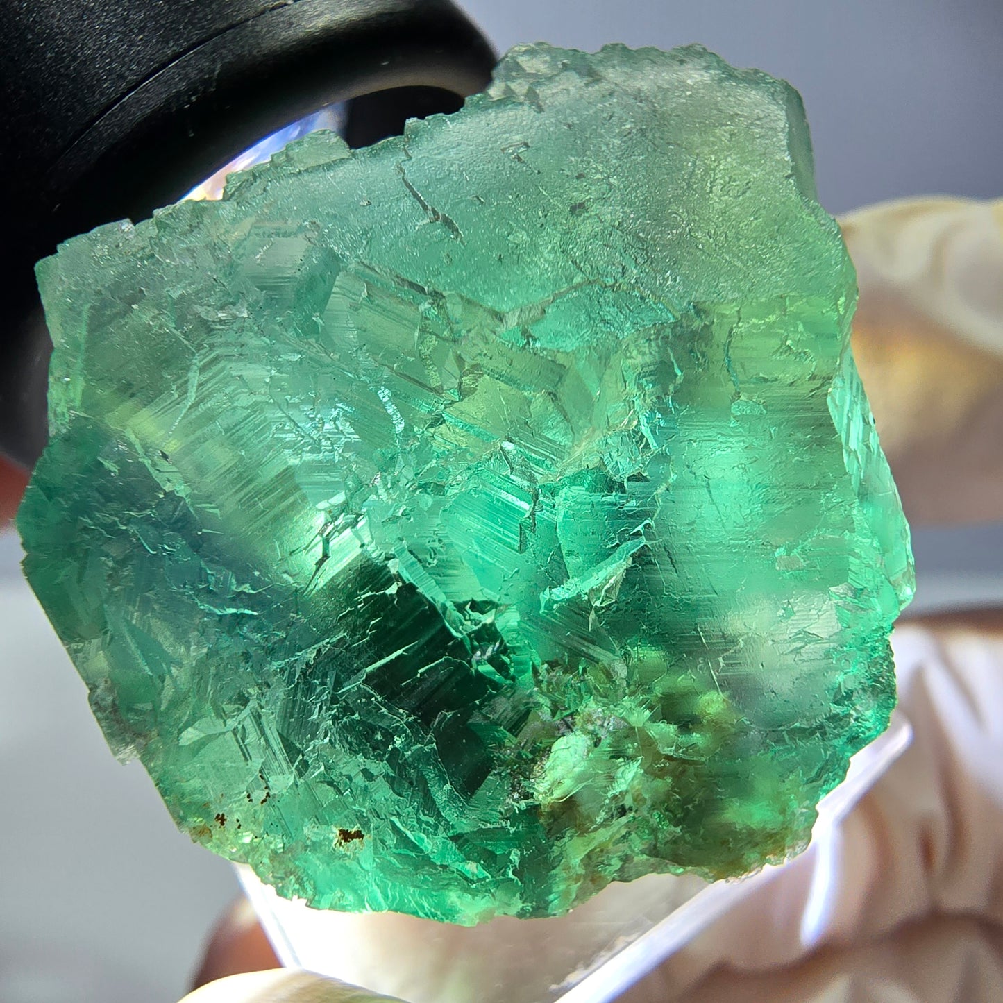 Phantom Fluorit Würfel Stufe, parkettiert grün Okorusu, Namibia 30*28*24mm