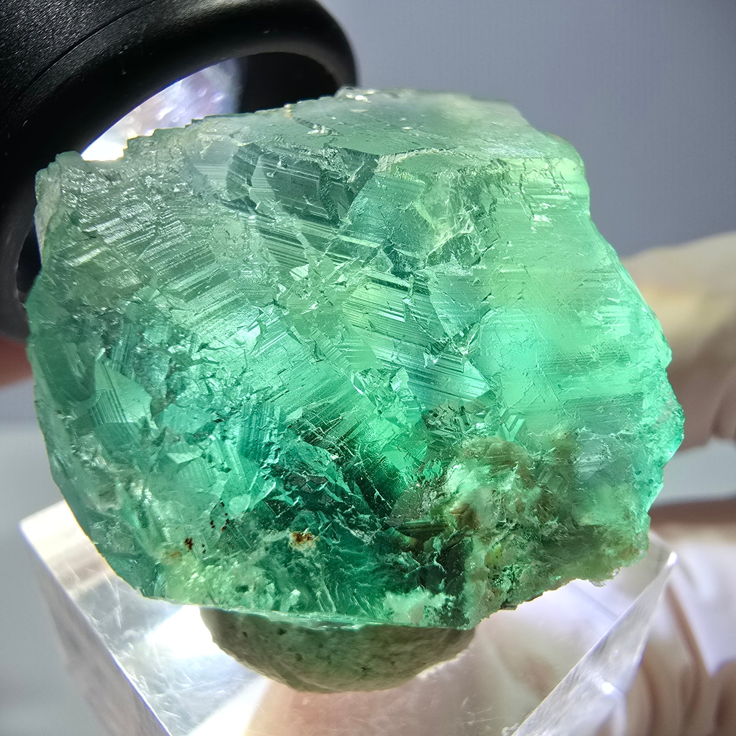 Phantom Fluorit Würfel Stufe, parkettiert grün Okorusu, Namibia 30*28*24mm
