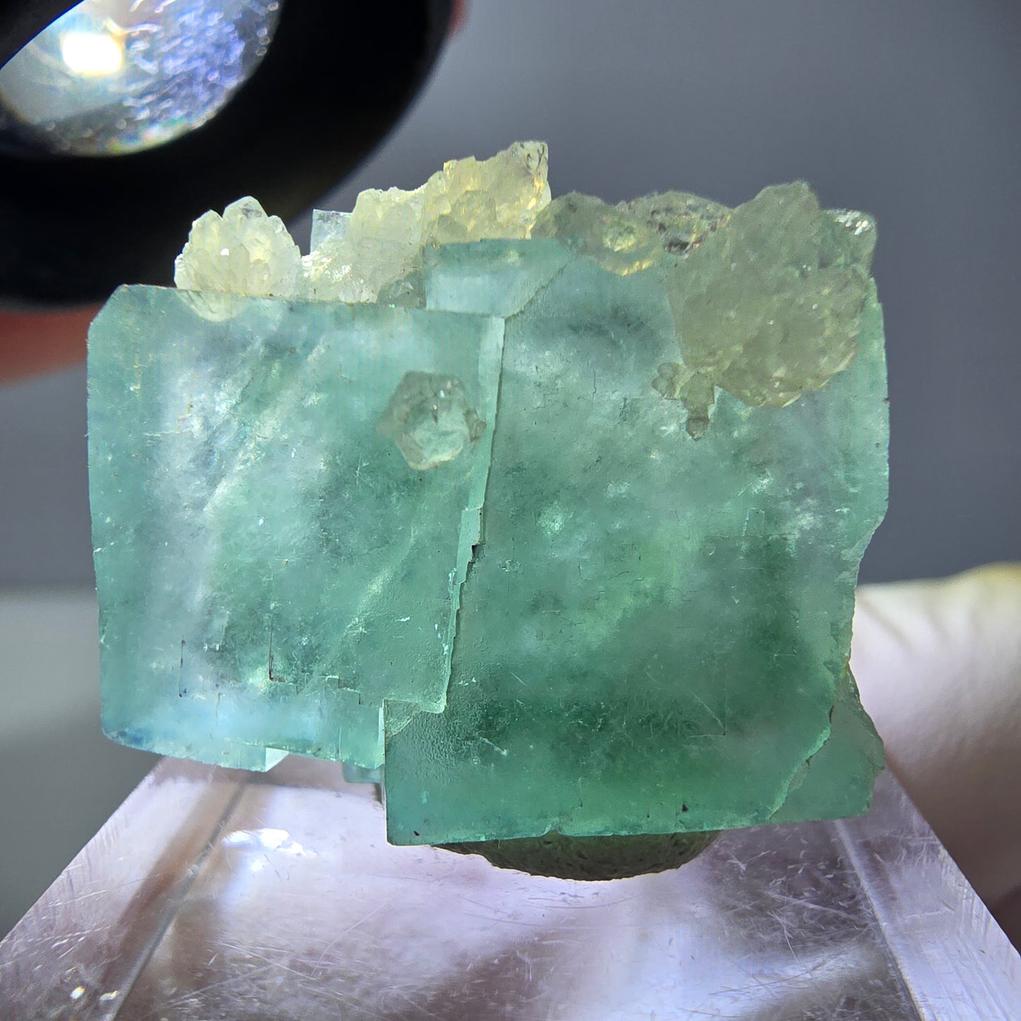 Seltene Phantom Fluorit Würfel, Quarz Stufe, grün Okorusu, Namibia 24*21*12mm
