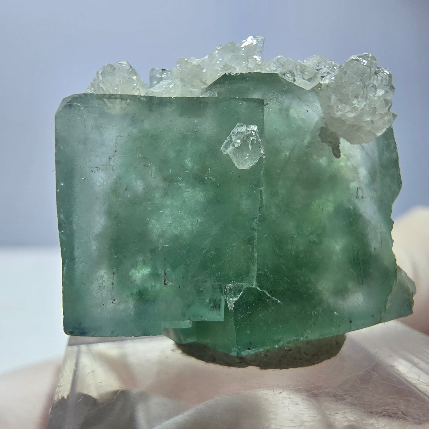 Seltene Phantom Fluorit Würfel, Quarz Stufe, grün Okorusu, Namibia 24*21*12mm