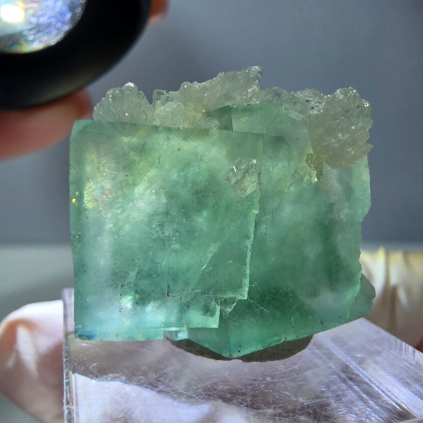 Seltene Phantom Fluorit Würfel, Quarz Stufe, grün Okorusu, Namibia 24*21*12mm