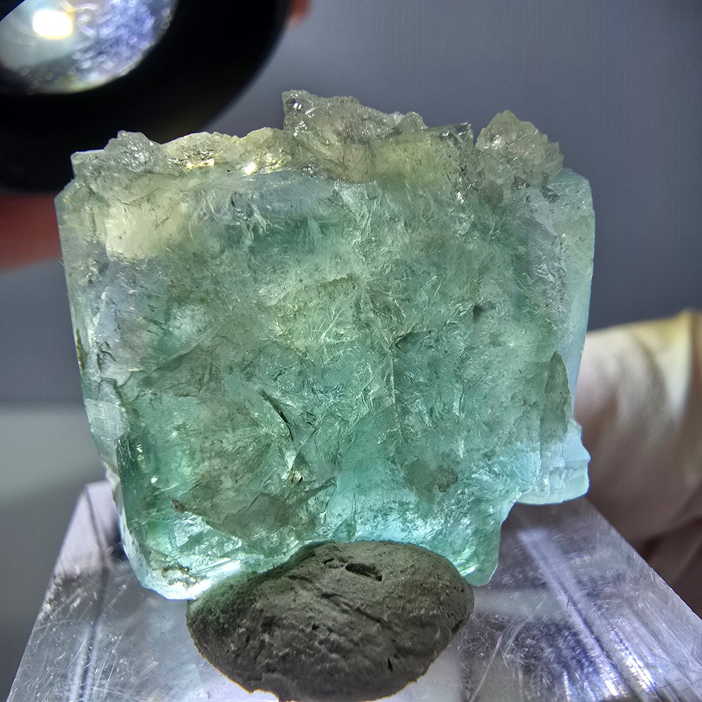 Seltene Phantom Fluorit Würfel, Quarz Stufe, grün Okorusu, Namibia 24*21*12mm