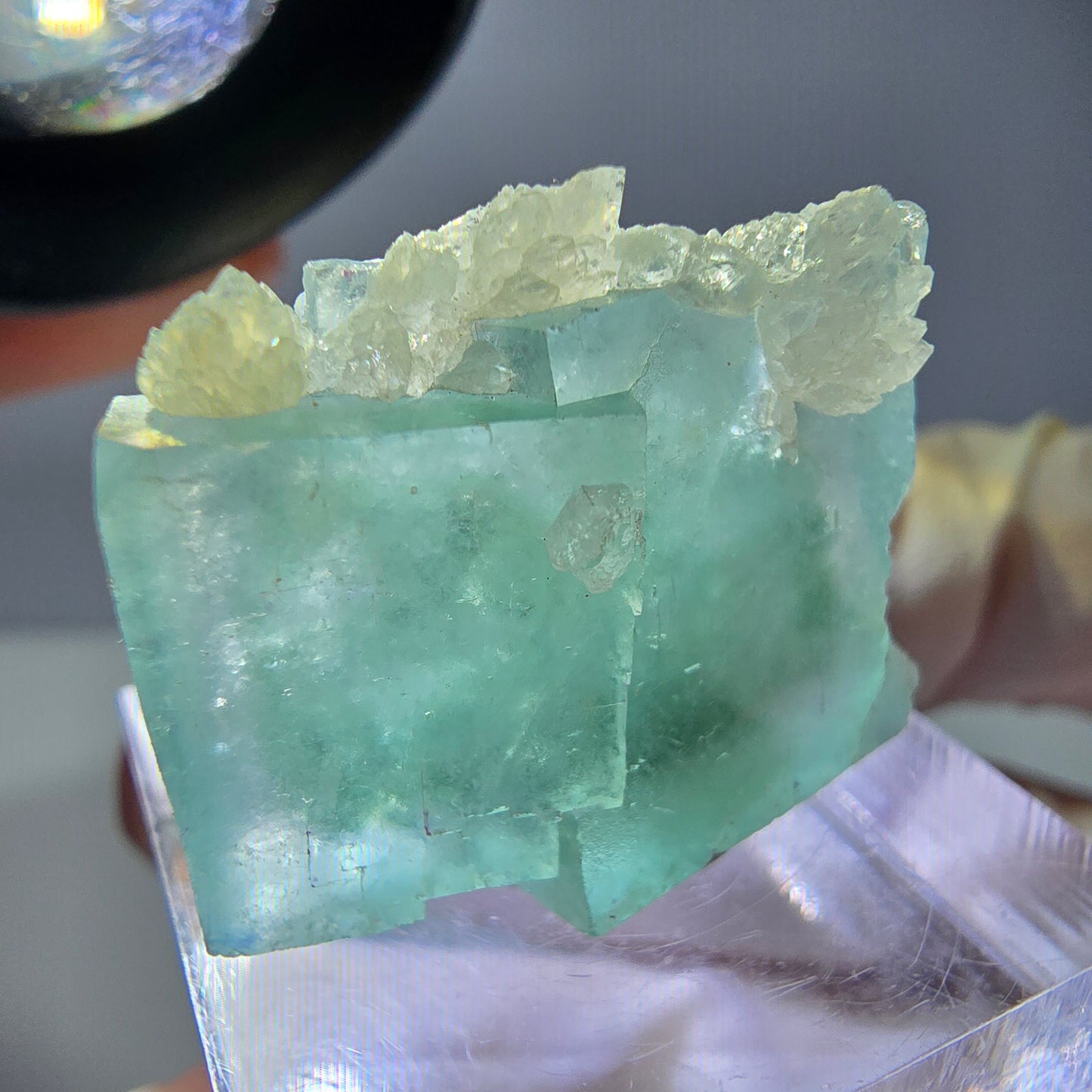 Seltene Phantom Fluorit Würfel, Quarz Stufe, grün Okorusu, Namibia 24*21*12mm