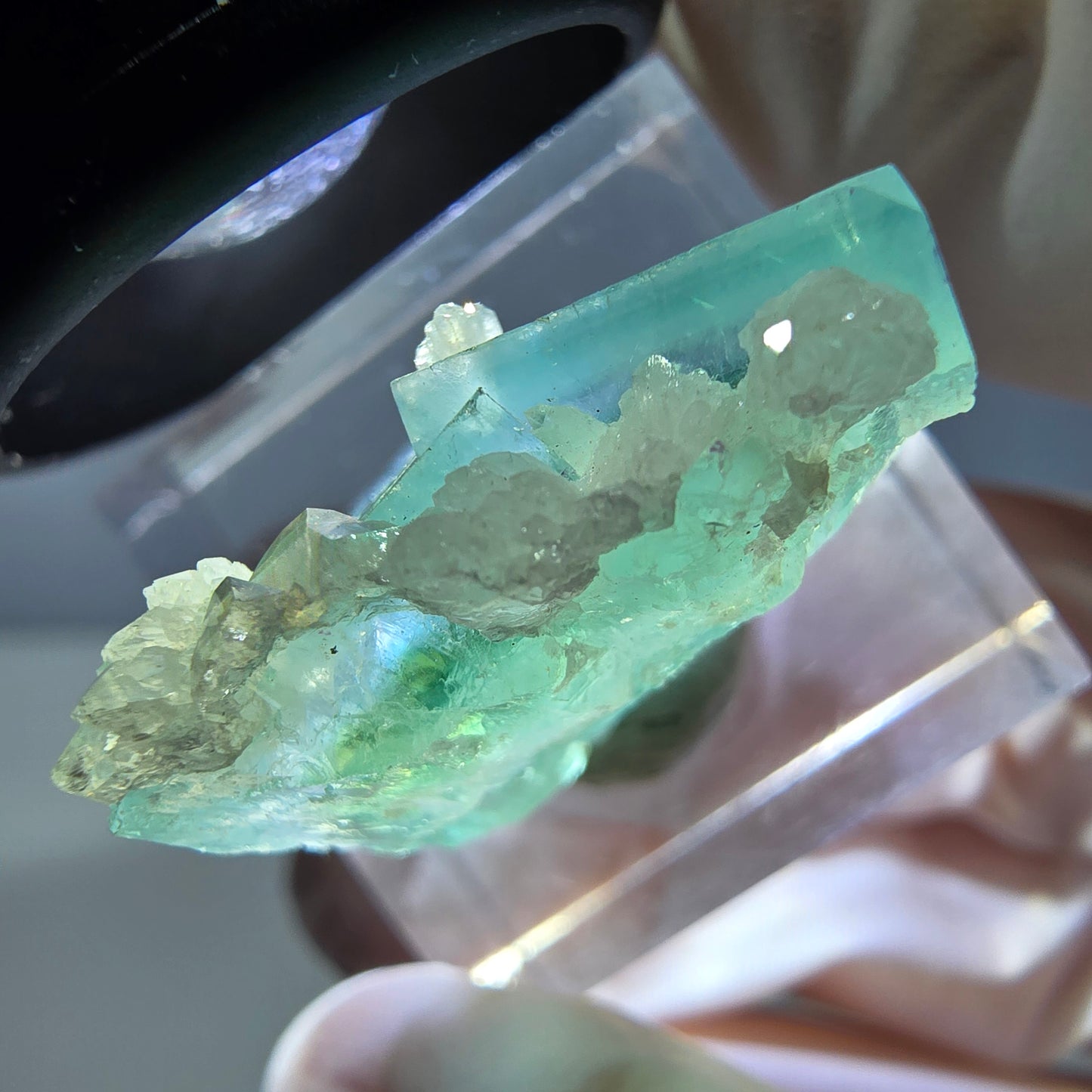 Seltene Phantom Fluorit Würfel, Quarz Stufe, grün Okorusu, Namibia 24*21*12mm