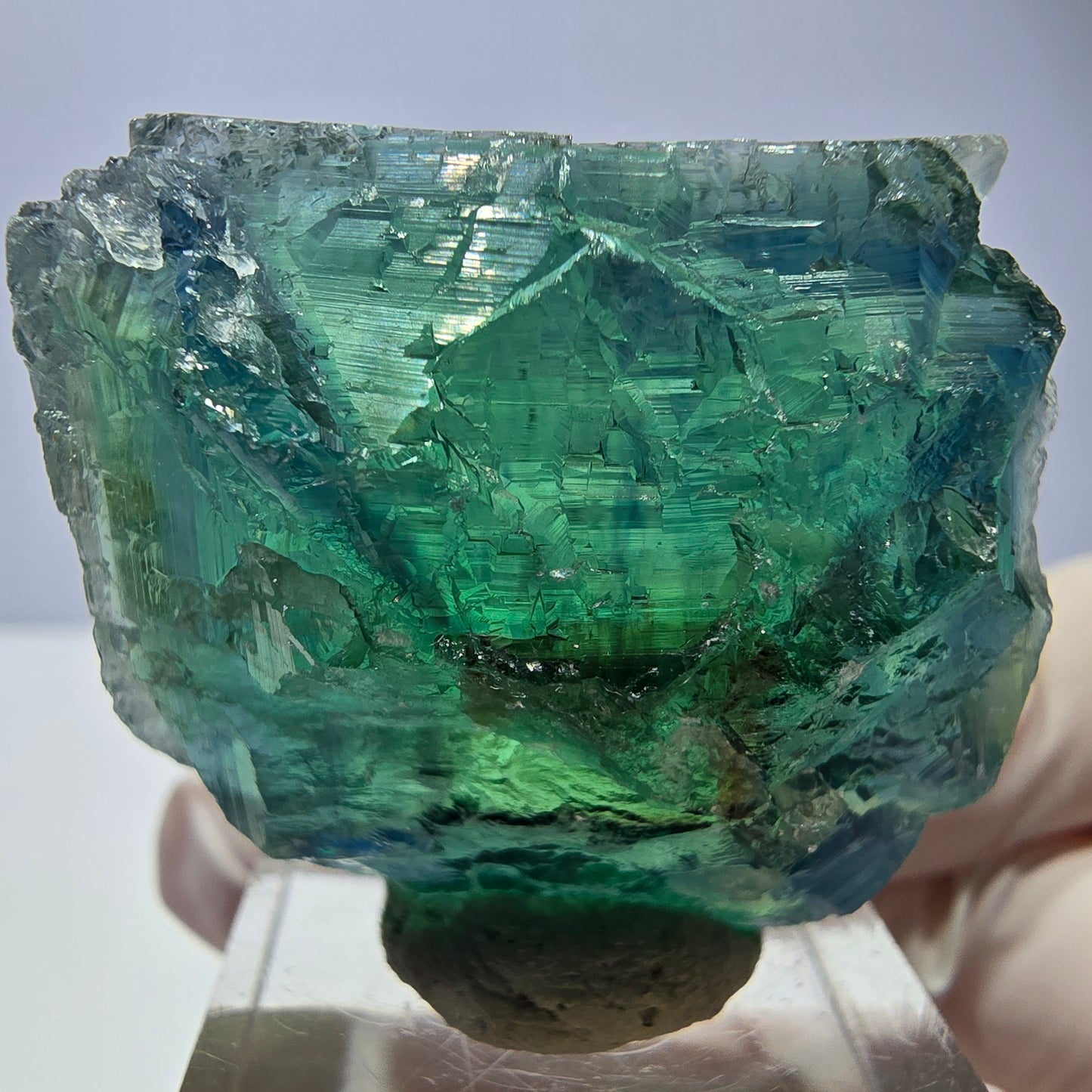 Phantom Fluorit Würfel Stufe, parkettiert grün Okorusu, Namibia 38*33*20mm