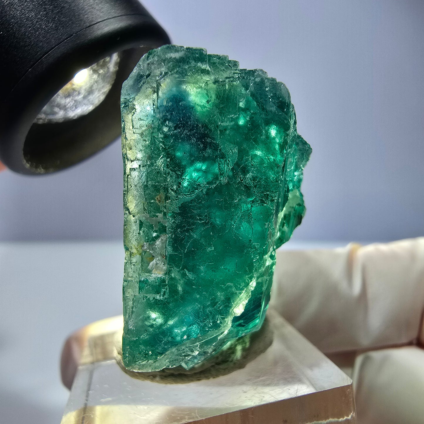Phantom Fluorit Würfel Stufe, parkettiert grün Okorusu, Namibia 38*33*20mm