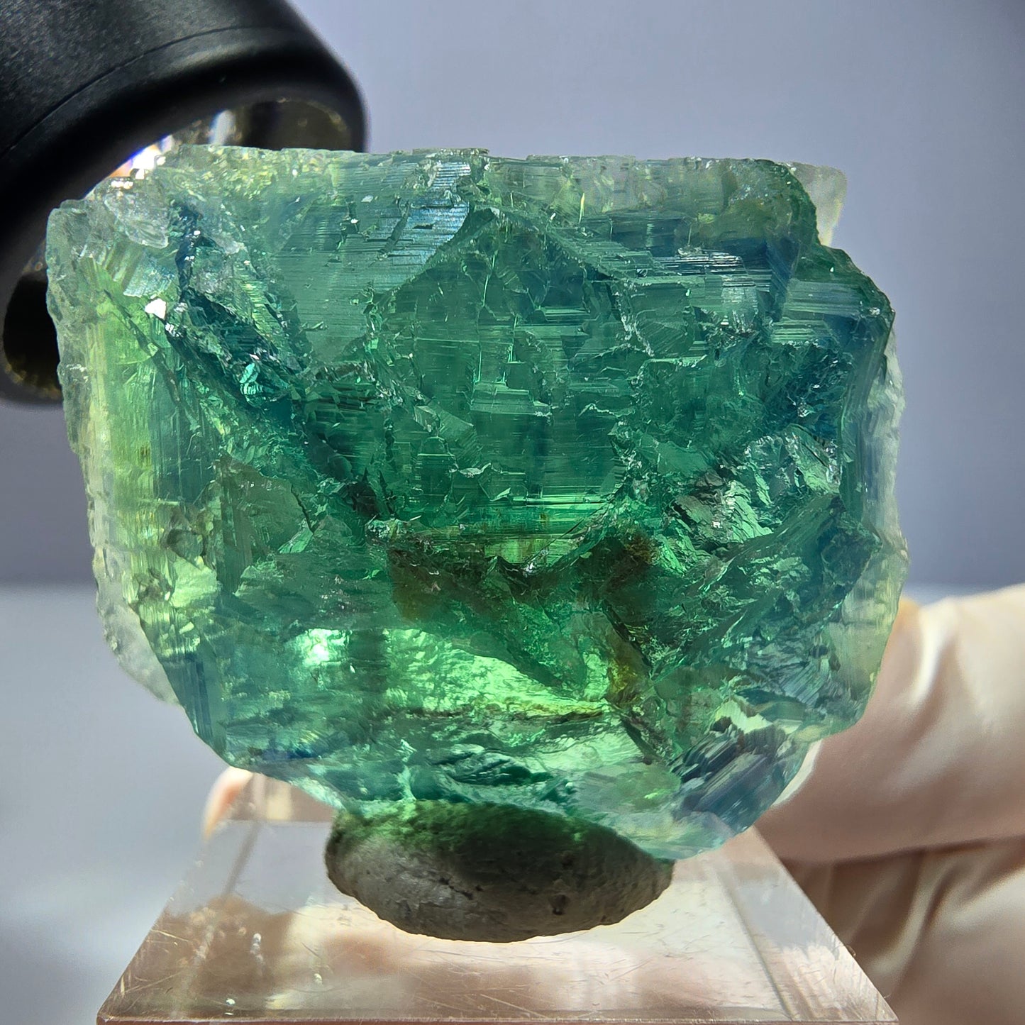 Phantom Fluorit Würfel Stufe, parkettiert grün Okorusu, Namibia 38*33*20mm