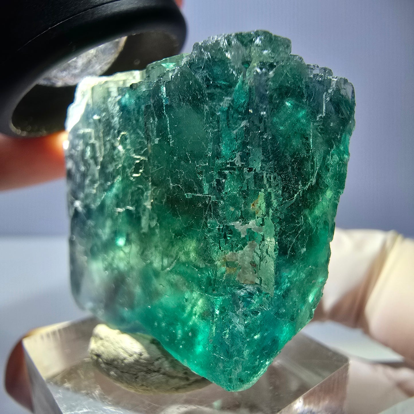 Phantom Fluorit Würfel Stufe, parkettiert grün Okorusu, Namibia 38*33*20mm