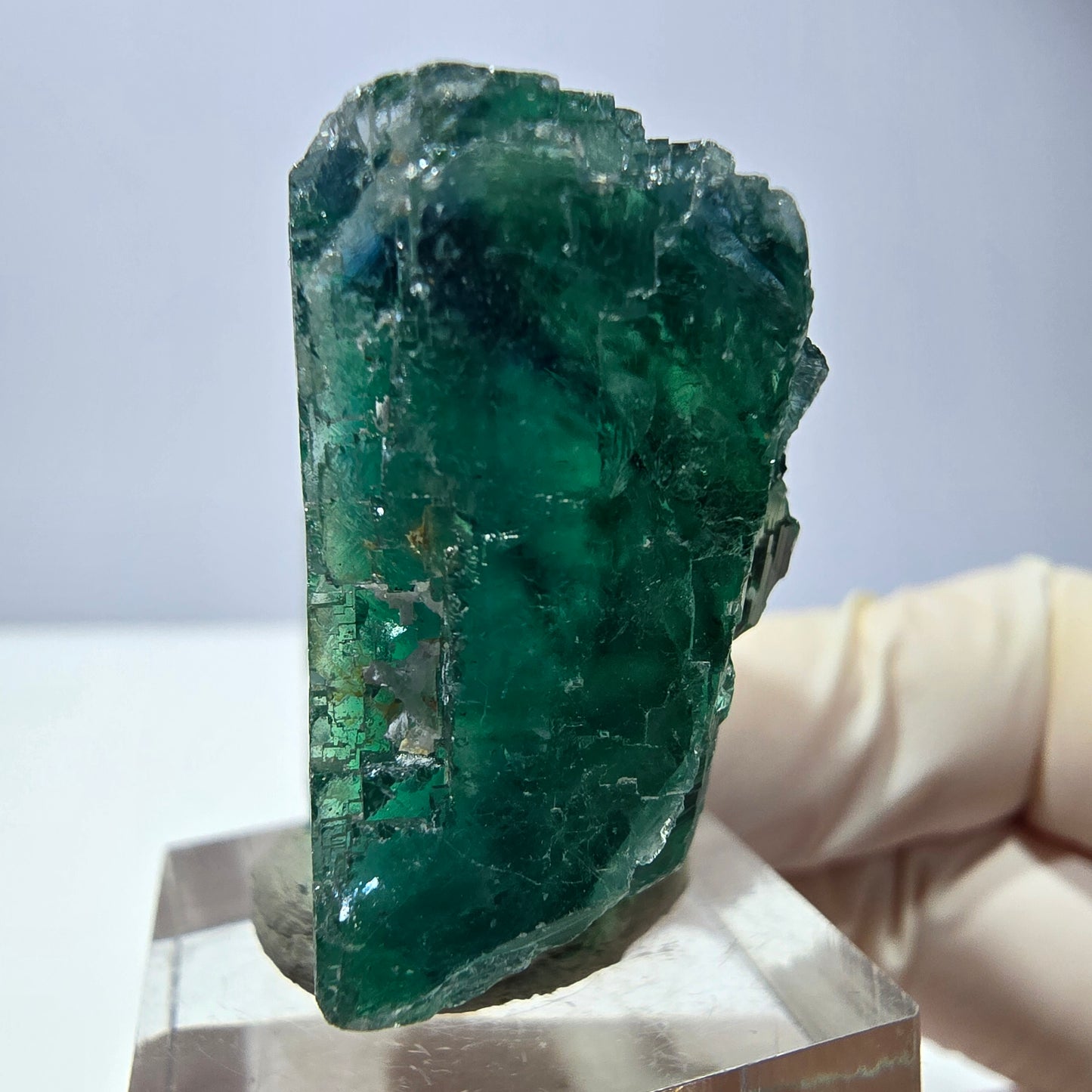 Phantom Fluorit Würfel Stufe, parkettiert grün Okorusu, Namibia 38*33*20mm