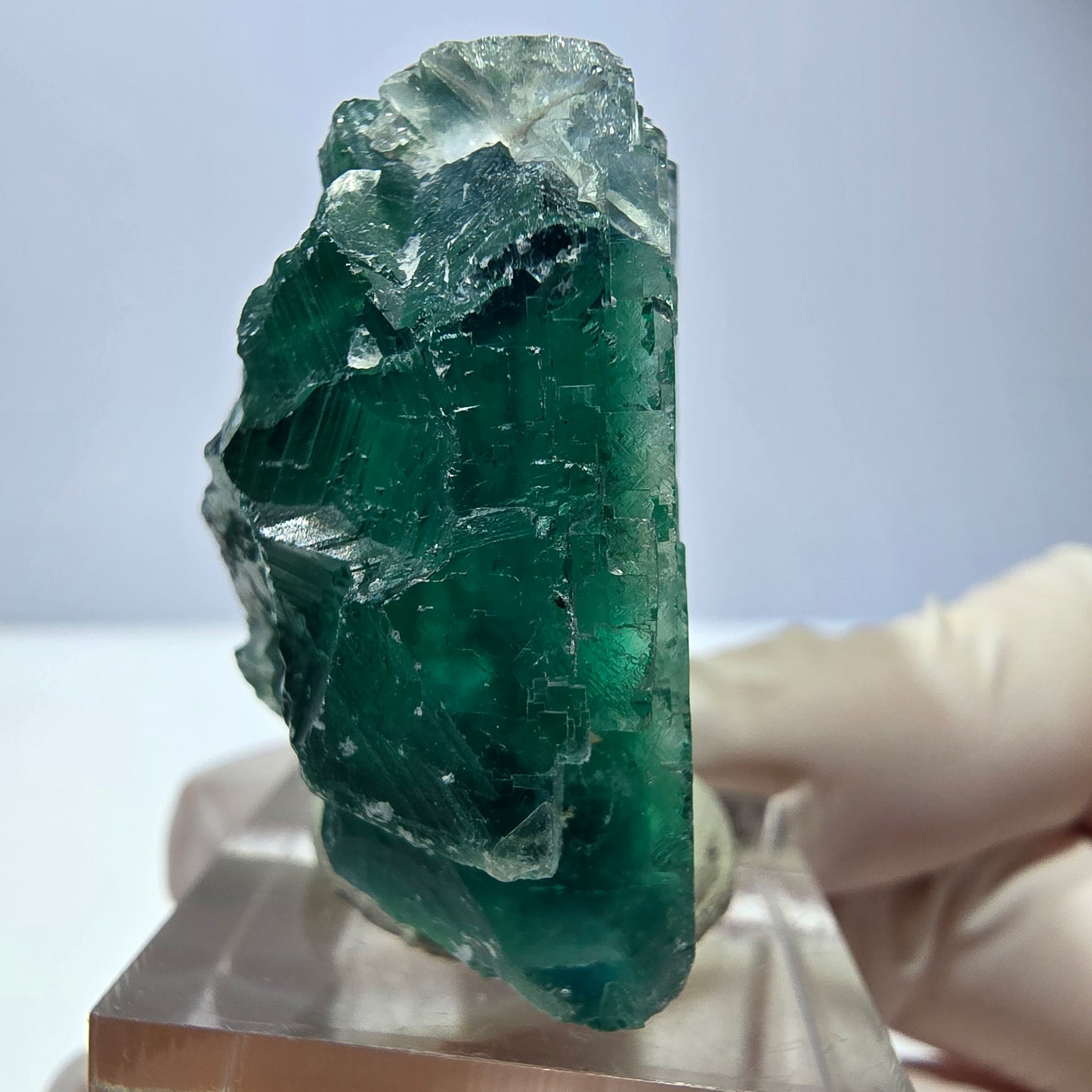 Phantom Fluorit Würfel Stufe, parkettiert grün Okorusu, Namibia 38*33*20mm