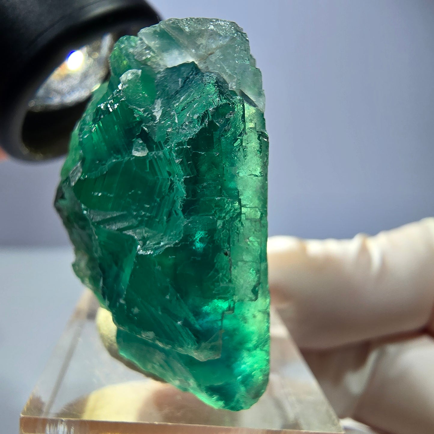 Phantom Fluorit Würfel Stufe, parkettiert grün Okorusu, Namibia 38*33*20mm