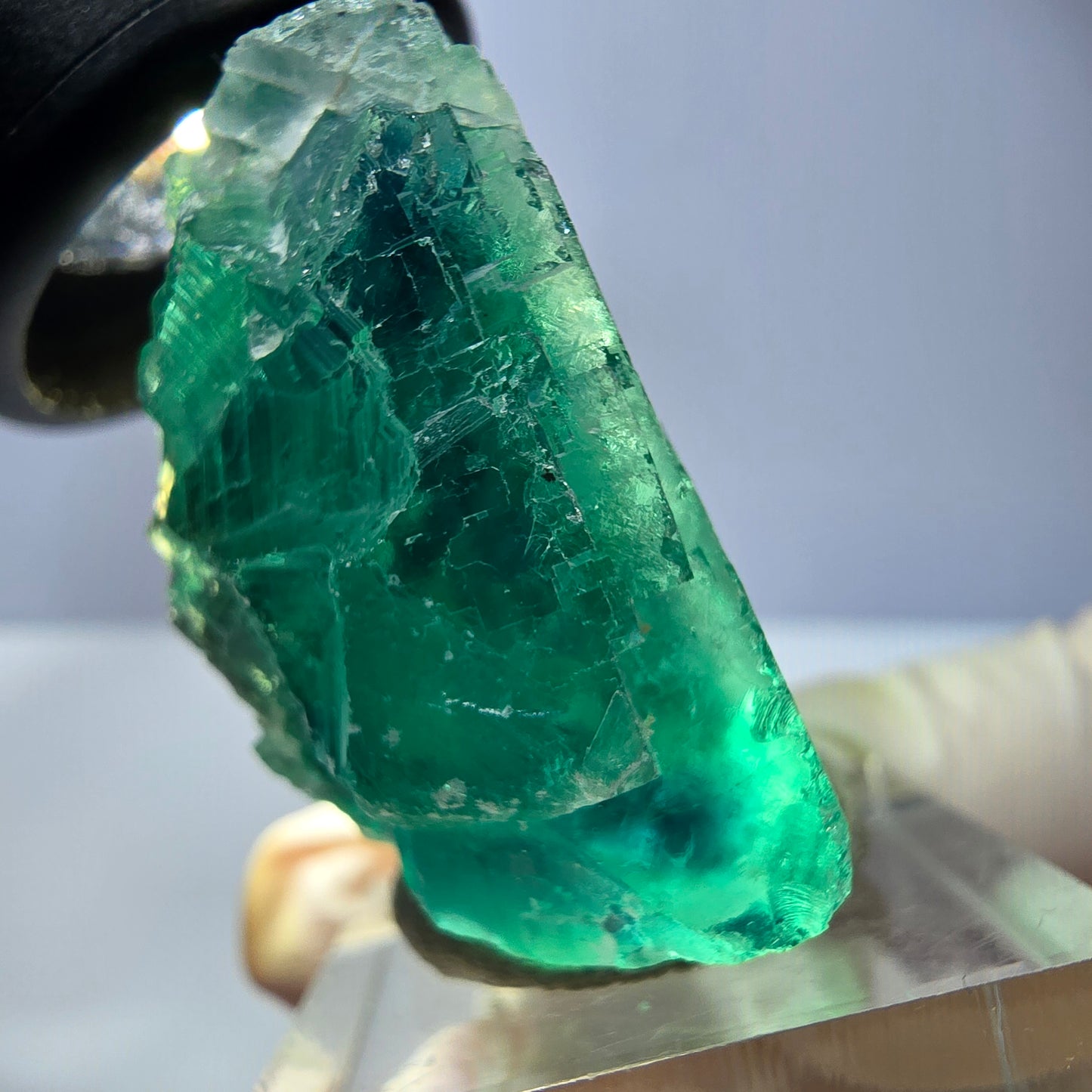 Phantom Fluorit Würfel Stufe, parkettiert grün Okorusu, Namibia 38*33*20mm