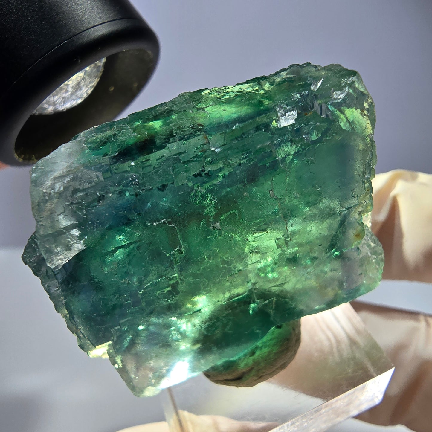 Phantom Fluorit Würfel Stufe, parkettiert grün Okorusu, Namibia 38*33*20mm