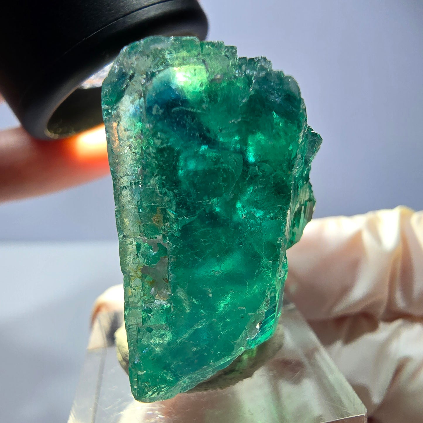 Phantom Fluorit Würfel Stufe, parkettiert grün Okorusu, Namibia 38*33*20mm