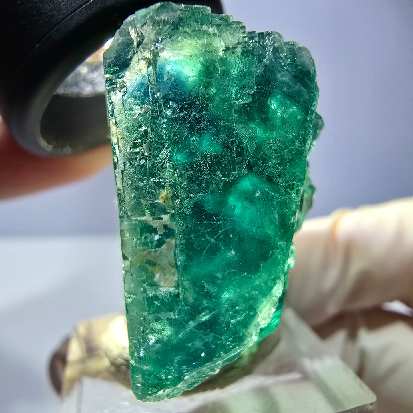 Phantom Fluorit Würfel Stufe, parkettiert grün Okorusu, Namibia 38*33*20mm