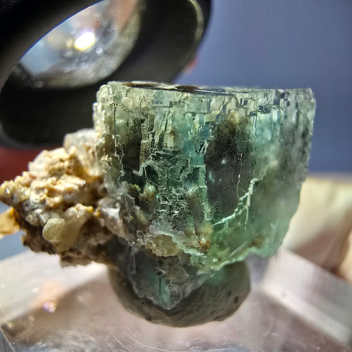 Phantom Fluorit Würfel Stufe, parkettiert grün Okorusu, Namibia 22*20*17mm