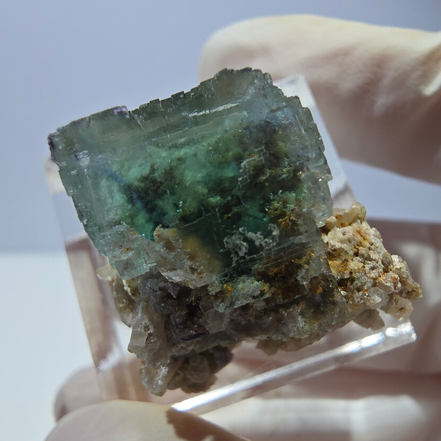 Phantom Fluorit Würfel Stufe, parkettiert grün Okorusu, Namibia 22*20*17mm